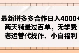 （12869期）拼多多最新合作日入4000 两天销量过百单，无学费、老运营代操作、小白福利
