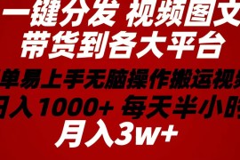 （10667期）2024年 一键分发带货图文视频 简单易上手 无脑赚收益 每天半小时日入1…