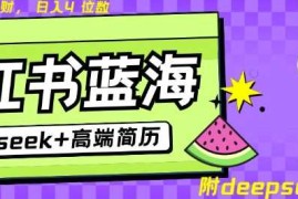 Deepseek 小红书简历蓝海赛道，24小时网盘自动发货，零成本，不限时间地点，日入四位数