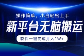 （12528期）平台无脑搬运月入1W 软件一键完成，简单无脑小白也能轻松上手