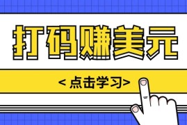 手动输入验证码，每天多投入几个小时，也能轻松获得两三千元的收入
