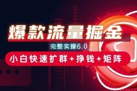 爆款流量掘金_完整实操6.0_小白快速扩群 挣钱 矩阵思路【揭秘】