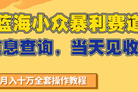蓝海小众暴利赛道，信息查询，当天见收益，不讲玄学，7天搞了2万 
