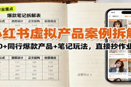 小红书虚拟产品案例拆解：100 同行爆款产品 笔记玩法，直接抄作业