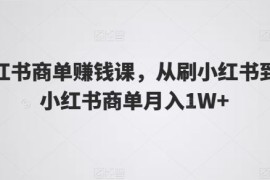 小红书商单赚钱课，从刷小红书到玩小红书商单月入1W 