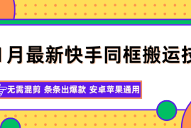 11月最新快手同框搬运技术，无需混剪 条条出爆款 安卓苹果通用