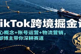 TikTok跨境掘金课，核心概念 账号运营 物流营销，头部博主带你深耕赛道
