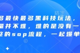 拼多多最快最多黑科技玩法，拼多多起量并不难，难的是没有一套完整的sop流程，一起爆单（更新6月）