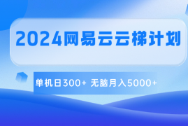 2024网易云云梯计划 单机日300  无脑月入5000 