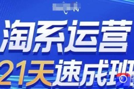 淘系运营21天速成班，0基础轻松搞定淘系运营，不做假把式，快速复制落地(更新26年5月)