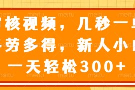 （14294期）审核视频，几秒一单，多劳多得，新人小白一天轻松300 