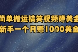 简单搬运搞笑视频挣美金，新手一个月入1k美金