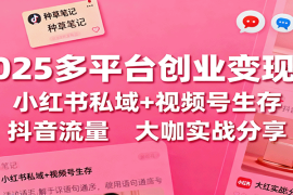 2025多平台创业变现课：小红书私域 视频号生存 抖音流量，大咖实战分享