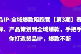 货品IP全域爆款陪跑营【第3期】赛道选择、产品策划到全域爆款，手把手教你打造货品IP，爆款不断