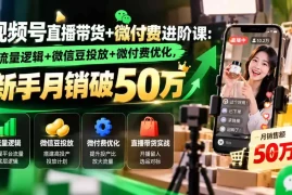 视频号直播带货 微付费进阶课-更新1010：流量逻辑 微信豆投放 微付费优化，新手月销破50万