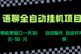 （15676期）语聊自动视频自动聊天项目全新玩法，单机单窗口一天30-50 ，新手看完直接上手