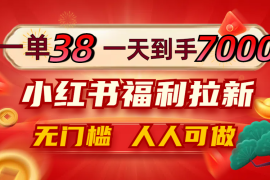 （12741期）一单38，一天到手7000 ，小红书福利拉新，0门槛人人可做