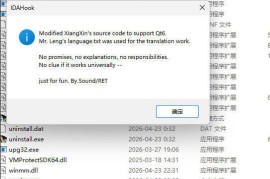IDA 9.3x 汉化补丁