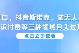 网创风口，抖音斯诺克，做无人直播，知识付费等三种领域月入过万!