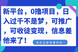 新平台，0 撸项目，每天坚持，稳定 1000 ，可推广，可收徒变现