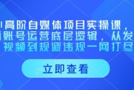 AI高阶自媒体项目实操课，讲透账号运营底层逻辑，从发布视频到规避违规一网打尽