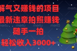 （13686期）解气又赚钱的项目，最新违章拍照赚钱，随手一拍，轻松收入3000 