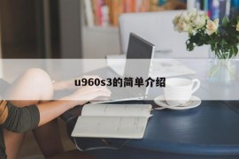u960s3的简单介绍