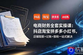 电商财务全套实操课：抖店淘宝拼多多小红书，店铺取数 记账 报税一站式解决