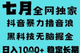 7月最新风口抖音无人直播撸音浪，长期稳定，非短期，全自动运行，低门槛无脑，日入1k 【揭秘】