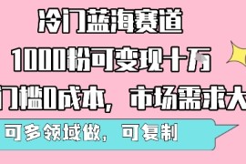 冷门蓝海赛道，1000粉可变现十W，无门槛0成本，市场需求大，可多领域做，可复制性强