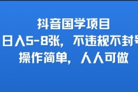 抖音国学项目，日入5-8张，不违规不封号，操作简单，人人可做