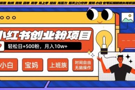 小红书创业粉项目日 500粉，每天20分钟躺赚长尾收益，无脑操作，宝妈，小白抓紧冲【揭秘】