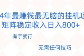2024年稳赚项目，最新无脑的挂机项目，矩阵稳定日收入800 