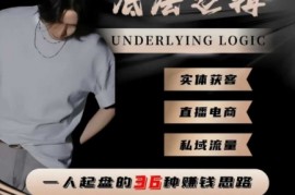 一个人起盘的底层逻辑，私域流量-直播电商-实体获客，一人起盘的36种賺钱思路