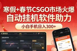 （17429期）寒假 春节CSGO市场火爆，配合游戏自动挂机软件，小白只用一台手机也可日入300 
