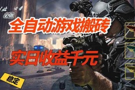 （17315期）全自动游戏挂机，实日收益1000  副业必看 小白必做！