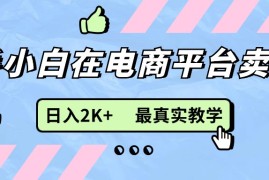 （11610期）新手小白在电商平台卖键盘，日入2K 最真实教学
