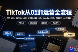 TikTok从0到1运营全流程：平台认知×刷机SOP×指纹浏览器×爆款对标×Kalodata选品×店铺后台×达人建联