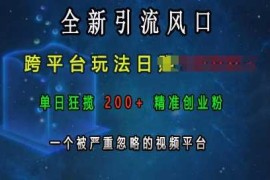 全新引流风口，跨平台玩法日入上k，单日狂揽200 精准创业粉，一个被严重忽略的视频平台