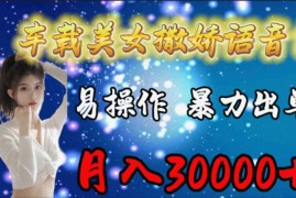 （9710期）车载女生撒娇语音包，易操作，暴力出单，月入30000 