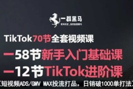 TikTok全套视频课，新手入门 进阶课，短视频ADS-GMV MAX投流打品，日销破1000单打法