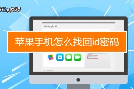 苹果丢了怎么找回来(苹果丢了怎么找回来id密码)