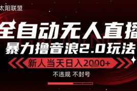 太阳联盟-最新独家2.0技术抖音无人直播撸音浪，黑科技全自动运行，低门槛，新手当天日入2k 【揭秘】