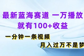 最新蓝海赛道，一万播放就有100 收益，一分钟一条视频，月入过万不是梦