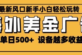 （16401期）2025最新风口 海外美金广告 单机单日500  可无限放大 设备越多收益越大…