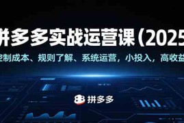 拼多多实战运营课（2025），控制成本、规则了解、系统运营，小投入，高收益！
