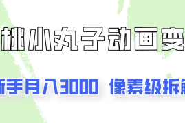 通过樱桃小丸子动画来变现的项目，一单100多，像素级教程！