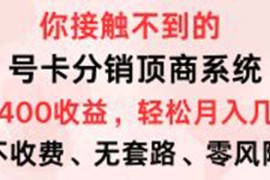 （12820期）号卡分销顶商系统，单卡400 收益。0门槛免费领，月入几W超轻松！