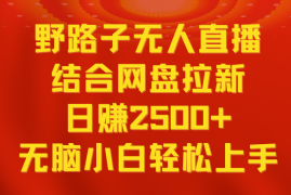 无人直播野路子结合网盘拉新，日赚2500 多平台变现，小白无脑轻松上手操作