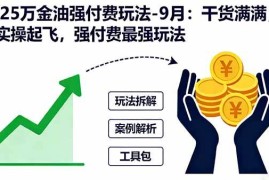 （16202期）2025万金油强付费玩法-9月：干货满满，全程实操起飞，强付费最强玩法